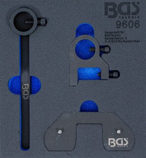 Werkstattwageneinlage 1/6: Ausgleichswellen-Einstellwerkzeug-Satz | für Land Rover, Citroen, Mitsubishi, Peugeot, Ford 2.2 DOHC Diesel-Motoren