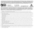 Spitz-Leimzwinge | 225 mm