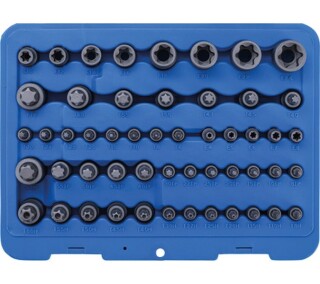 Bit-Einsatz- und Steckschlüssel-Einsatz-Satz | E-Profil / T-Profil (für Torx) / T-Profil (für Torx) mit Bohrung / TP-Profil (für Torx Plus) | 52-tlg.