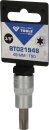 3/8" Torx-Bit-Stecknuss, T50