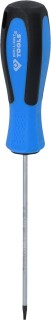 Schraubendreher TORX, T8 x 100 mm