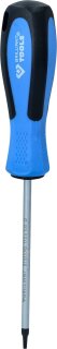 Schraubendreher TORX, T10 x 100 mm