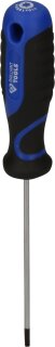 Schraubendreher TORX, T10