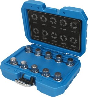 Felgenschloss-Sortiment für BMW, 10-tlg