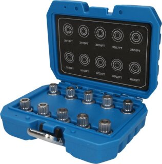 Felgenschloss-Sortiment für BMW, 10-tlg