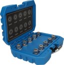 Felgenschloss-Sortiment f&uuml;r BMW, 10-tlg