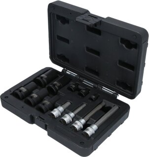 Bremssattelverschraubung-Spezialstecknuss-Satz, 12-tlg