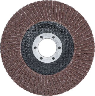 Fächer-Schleif-Scheibe | Ø 115 mm | K 80