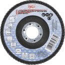 F&auml;cher-Schleif-Scheibe | &Oslash; 115 mm | K 60
