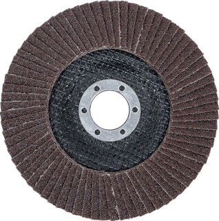 Fächer-Schleif-Scheibe | Ø 125 mm | K 60