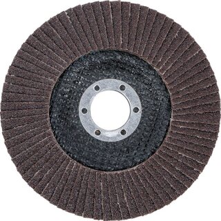 Fächer-Schleif-Scheibe | Ø 125 mm | K 80