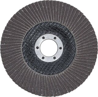 Fächer-Schleif-Scheibe | Ø 125 mm | K 120