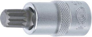 Bit-Einsatz | Antrieb Innenvierkant 12,5 mm (1/2") | Innenvielzahn (für XZN) M12