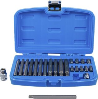 Bit-Satz | Antrieb Außensechskant 10 mm (3/8") | Keil-Profil (für Ribe) | 22-tlg.