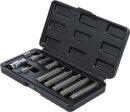 Bit-Satz | Antrieb Au&szlig;ensechskant 10 mm (3/8") | Innenvielzahn (f&uuml;r XZN) | 11-tlg.