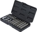 Bit-Satz | Antrieb Au&szlig;ensechskant 10 mm (3/8") | Innensechskant 15-tlg.