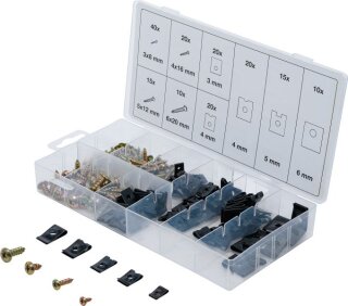 Karosserie-Blechmuttern- und Schrauben-Sortiment | 170-tlg.