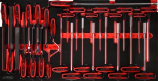 T-Griff-Winkelstiftschlüssel- / und Feilen-Satz in Schaumstoffeinlage, 28-tlg