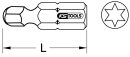 1/4" Bit Torx, 25mm, Kugelkopf, T10, 5er Pack