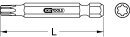 1/4" Torx PLUS Bit, 50mm, IP1