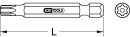 1/4" Torx PLUS Bit, Bohrung, 50mm, IPR15