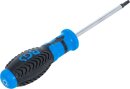 Schraubendreher | T-Profil (f&uuml;r Torx) T25 | Klingenl&auml;nge 100 mm
