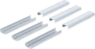 Polster-/ Zaunring-Satz | 300-tlg.