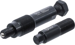 Kurbelwellen-Riemenscheiben-Demontagewerkzeug | für Ford EcoBlue 2.0L