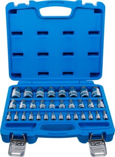 Bit-Einsatz-Satz | Antrieb Innenvierkant 6,3 mm (1/4") / 10 mm (3/8") / 12,5 mm (1/2") | Innensechskant 2 - 19 mm / 1/4 - 9/16" | Metrisch und Zollgrößen | 32-tlg.