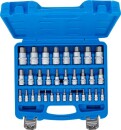 Bit-Einsatz-Satz | Antrieb Innenvierkant 6,3 mm (1/4") / 10 mm (3/8") / 12,5 mm (1/2") | Innensechskant 2 - 19 mm / 1/4 - 9/16" | Metrisch und Zollgr&ouml;&szlig;en | 32-tlg.