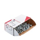 Sicherheitsgewicht - Typ 280, 10 g, Zink, Silber