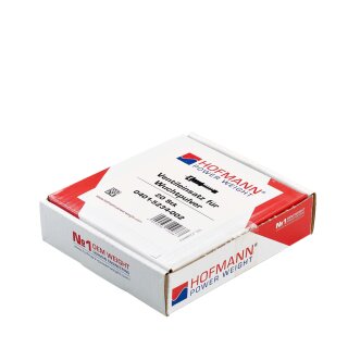 Ventileinsatz - Typ 504, für Auswuchtpulver, 20 Stück