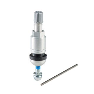 RDKS Service-Kit - H04, BMW | 20 Stück