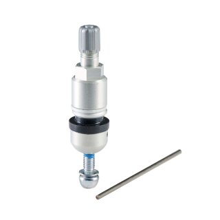 RDKS Service-Kit - H05, Audi | 20 Stück