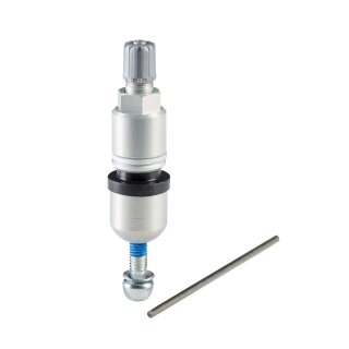 RDKS Service-Kit - H06, Audi | 20 Stück