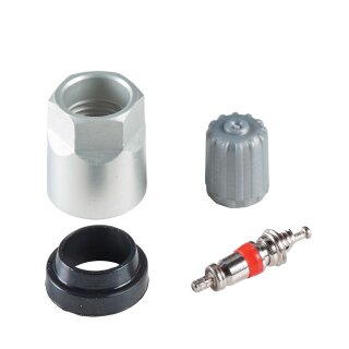 RDKS Service-Kit - S10, GMC | 20 Stück