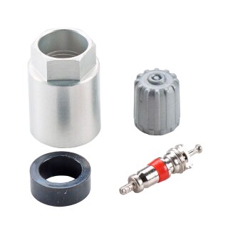 RDKS Service-Kit - S09, Saab | 20 Stück