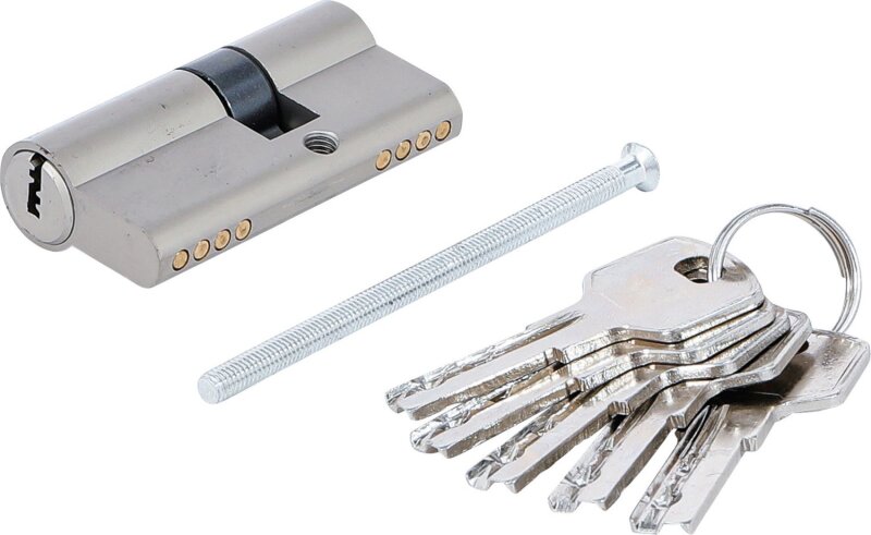 Schließzylinder Mit Schlüsseln Profilzylinder Türschloss Aus - Foto 8