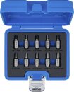 Schraubenausdreher-Satz | 10-tlg.